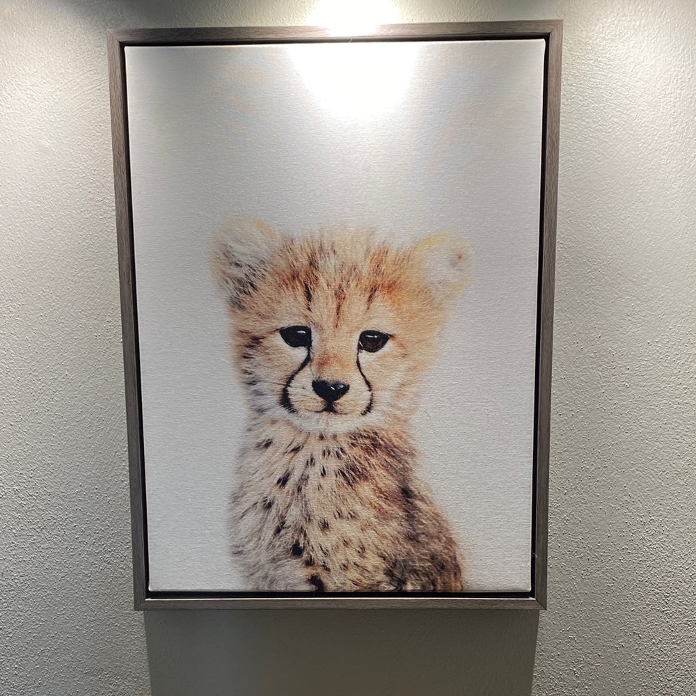 T.J.Maxx Cheetah Cub Art Print - Brown and White